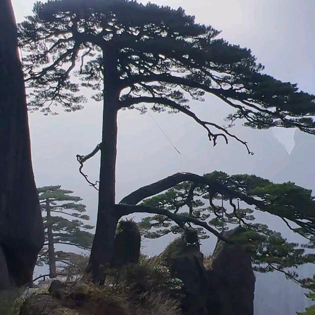 真爱永恒