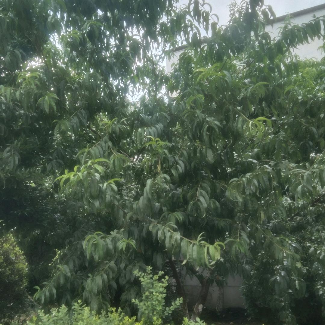 贵州小帅哥