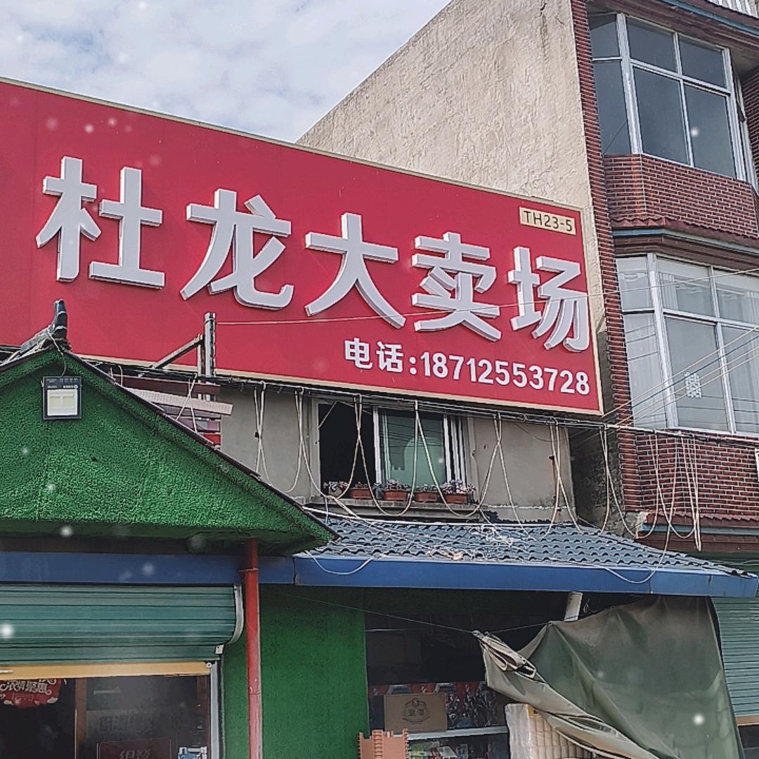 杜龙