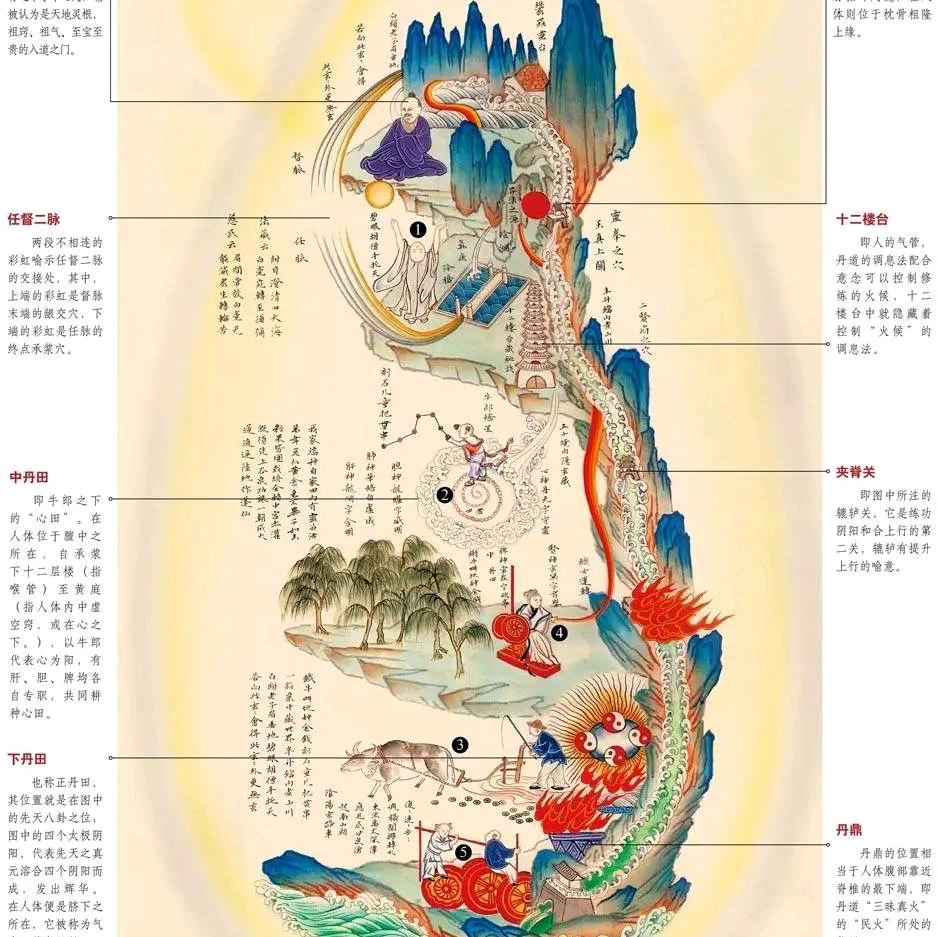 道系青年