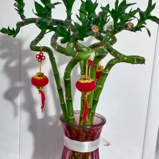海化匠心理发店