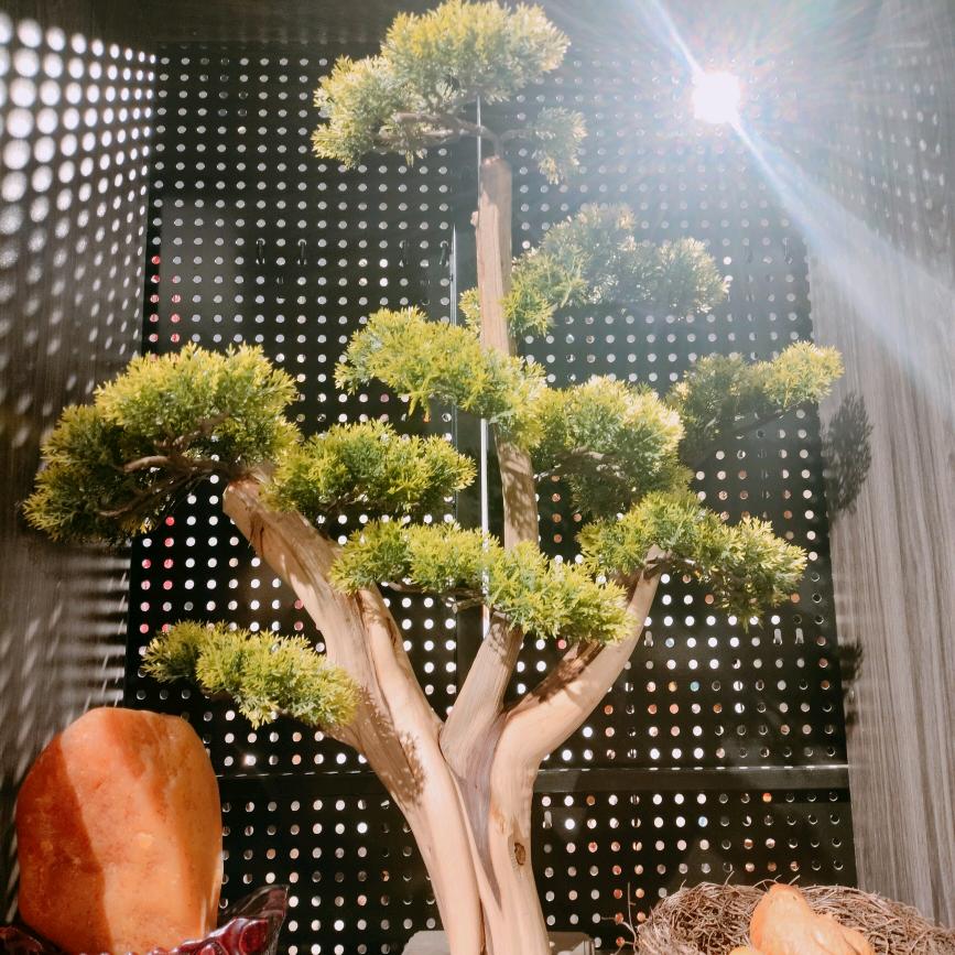 大宇和小宇