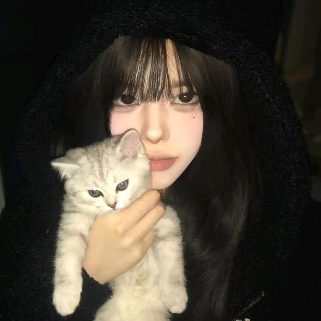 小猫天下第一