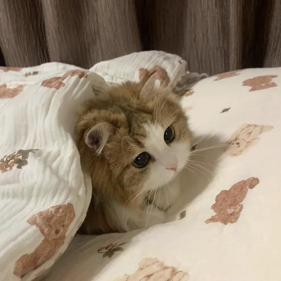 💞💞💞