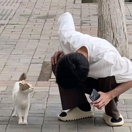 文…