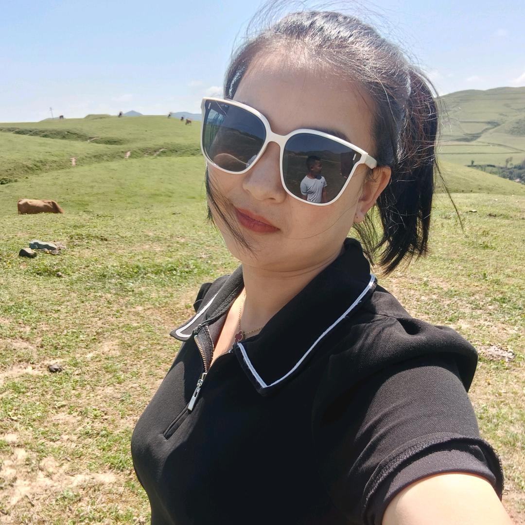 西安绿化苗木专供~