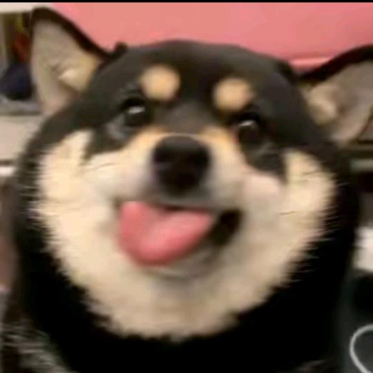 鱼丸汤圆