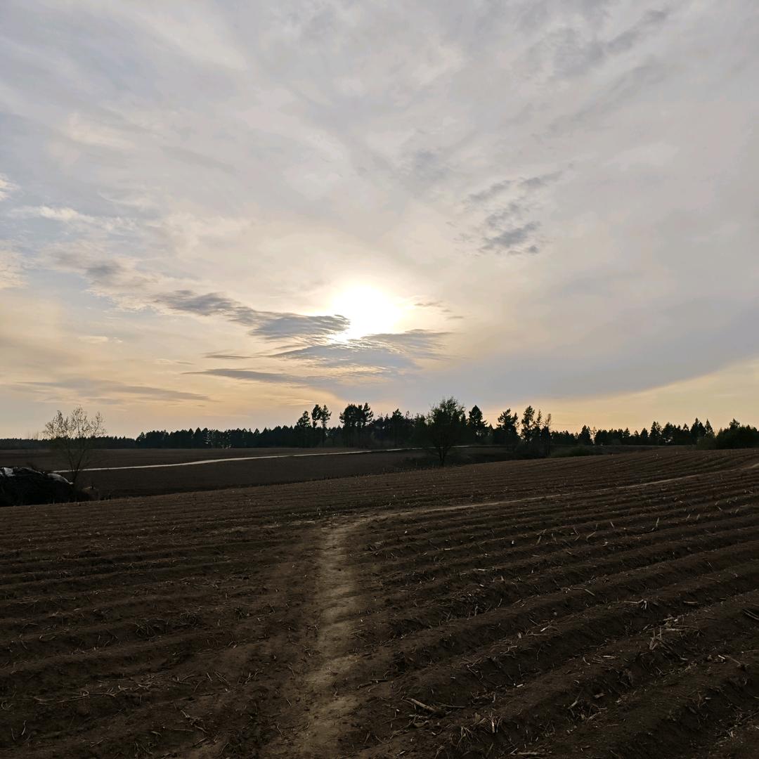 随波也并非逐流