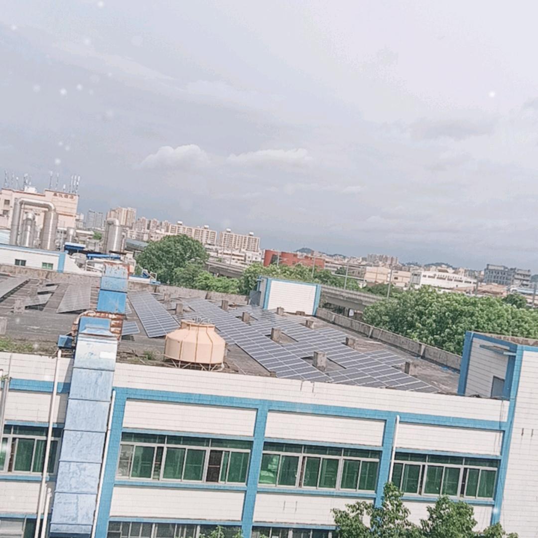 潇潇