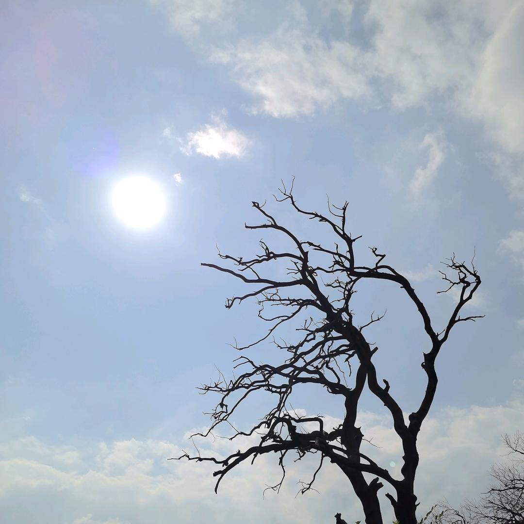 大手牵小手    ୧⍢⃝୨