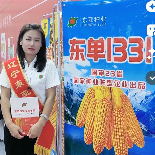 富友不倒翁种子旗舰店/东亚种业—圆圆