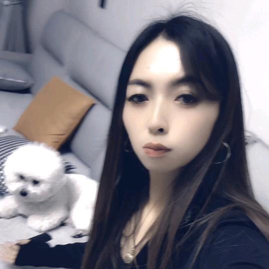 樱桃是只小比熊