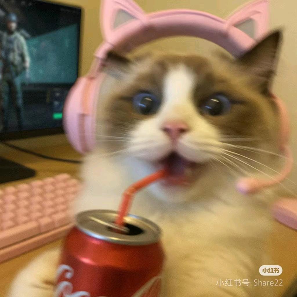 光愿(三角洲行动)