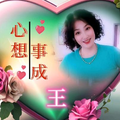 🌸优雅🌸