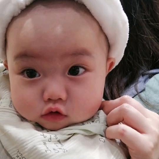 子衿