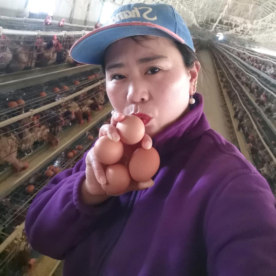 二嫂子（首播）