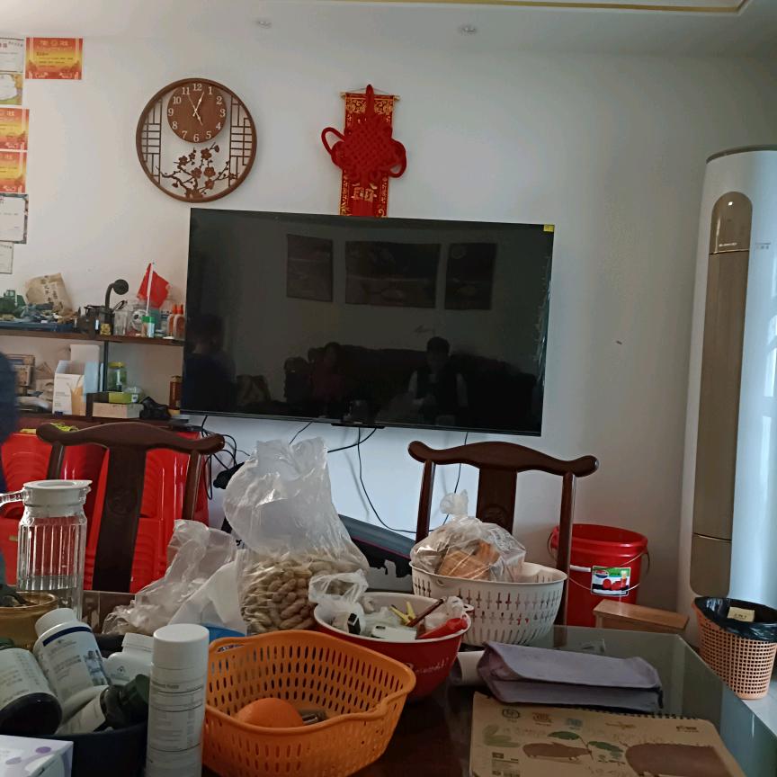 龙念芬