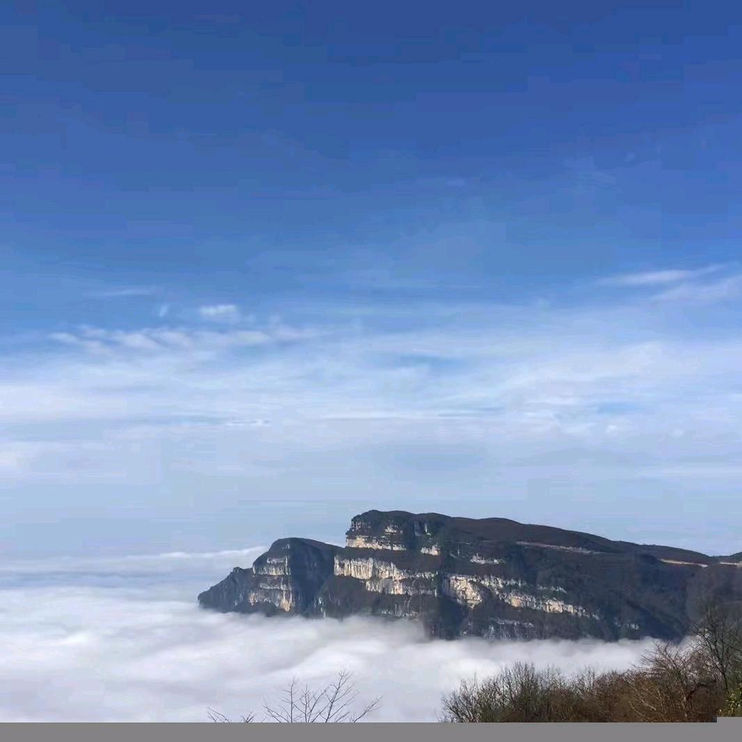 逗你玩