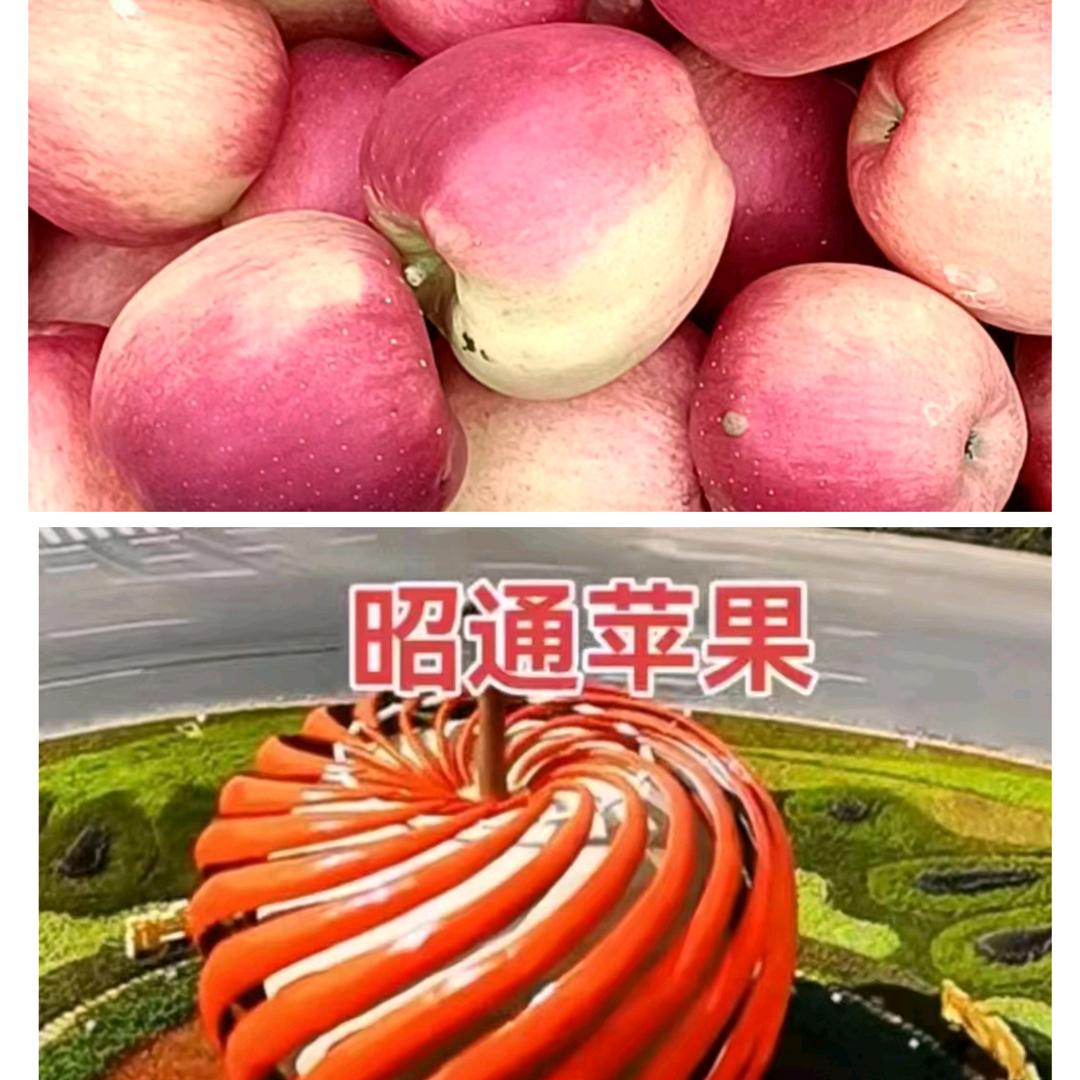 秋城苹果满城香