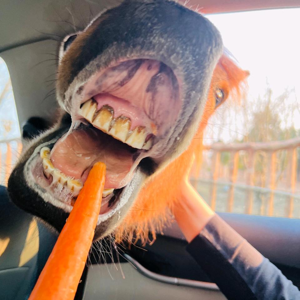 南通森迪自驾租车