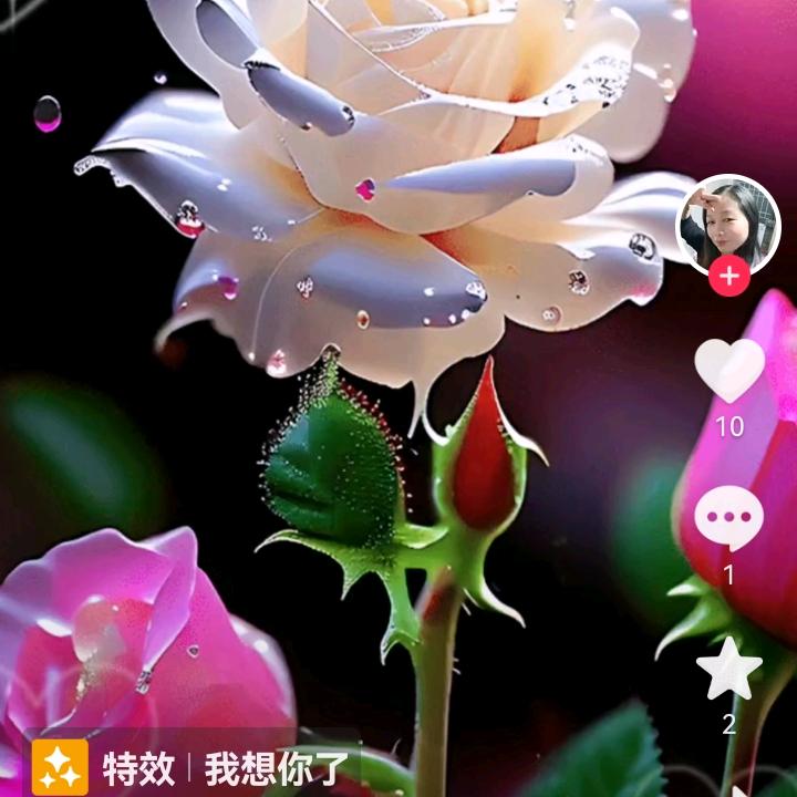 天天开心🌷