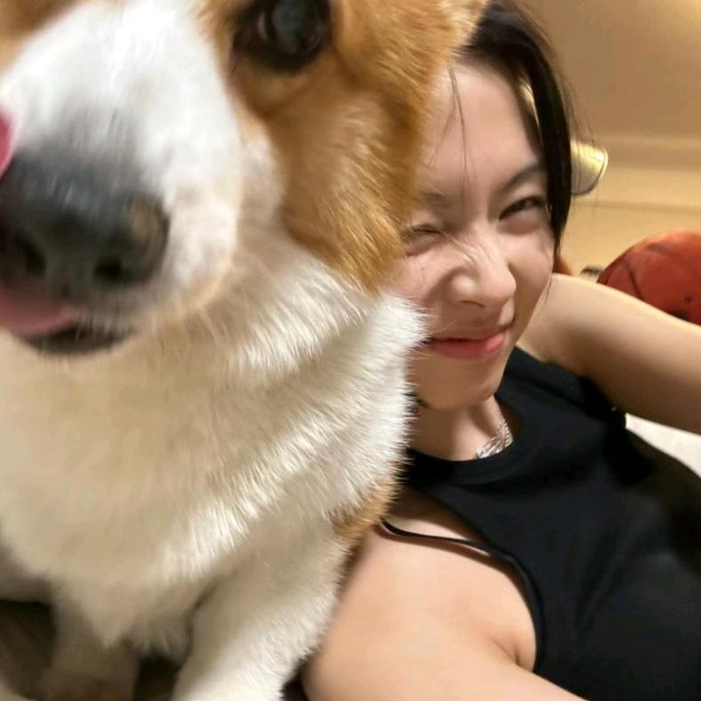 薯饼