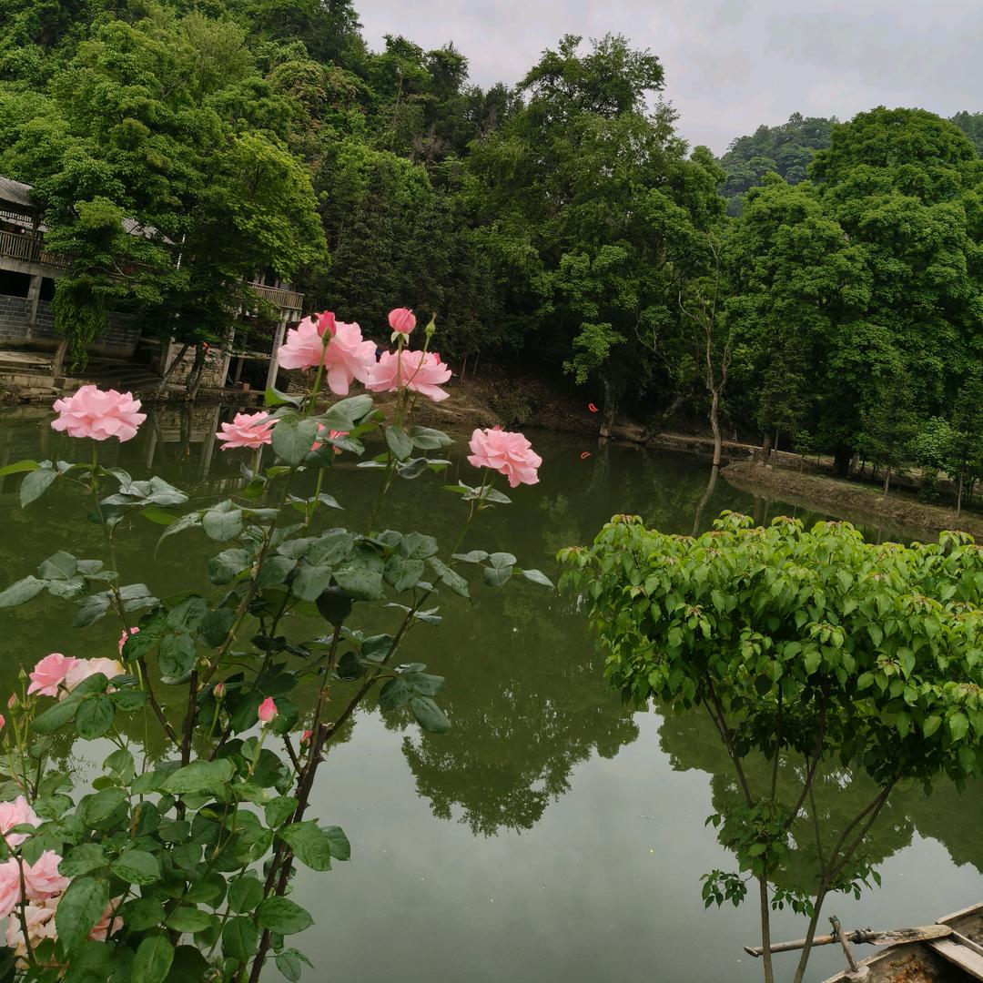 恋恋不忘