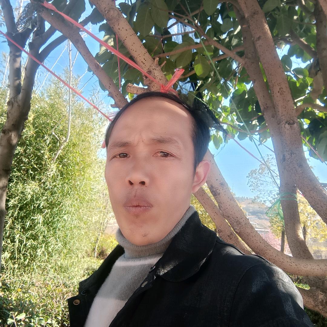 苦衷有你