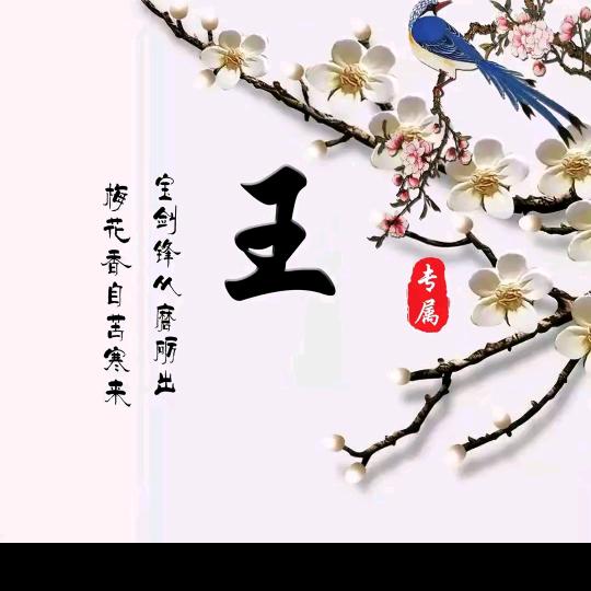 开心伊笑