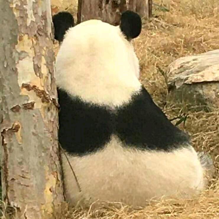 源源