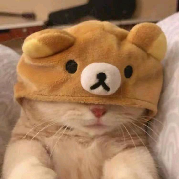 m 崽