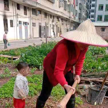 勤劳致富郭阿姨