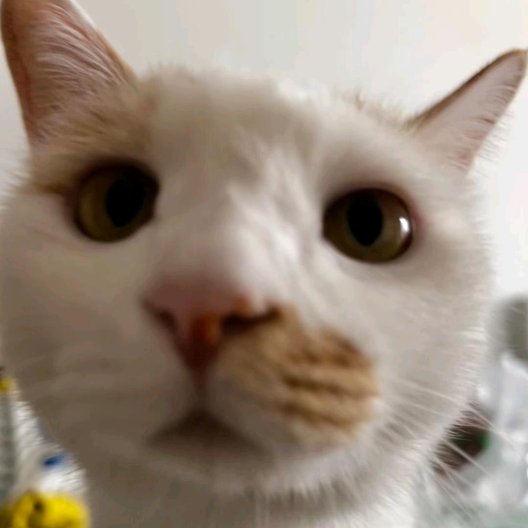 soo