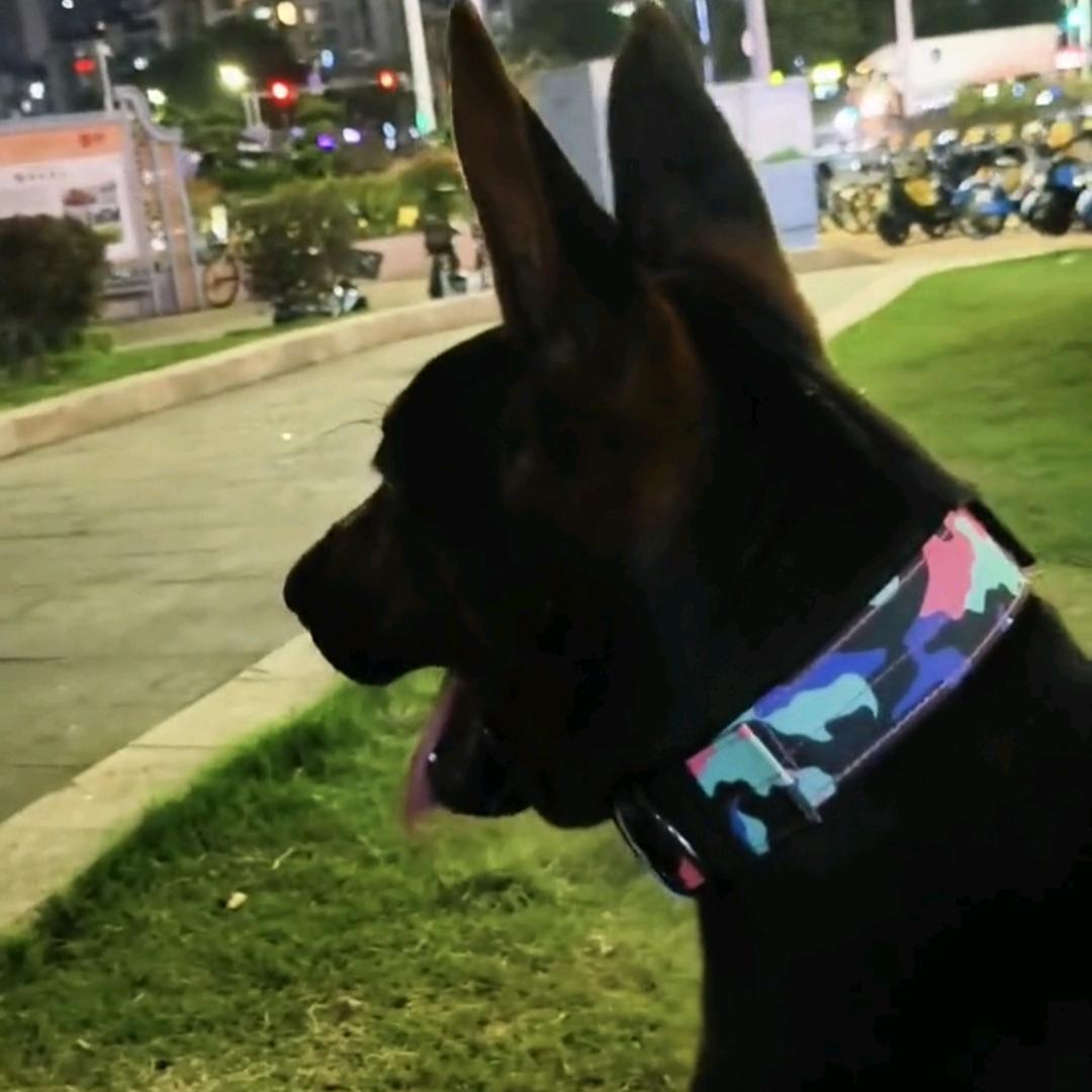 狼之道阿郎✅️