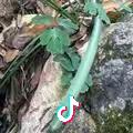 求实戒虚