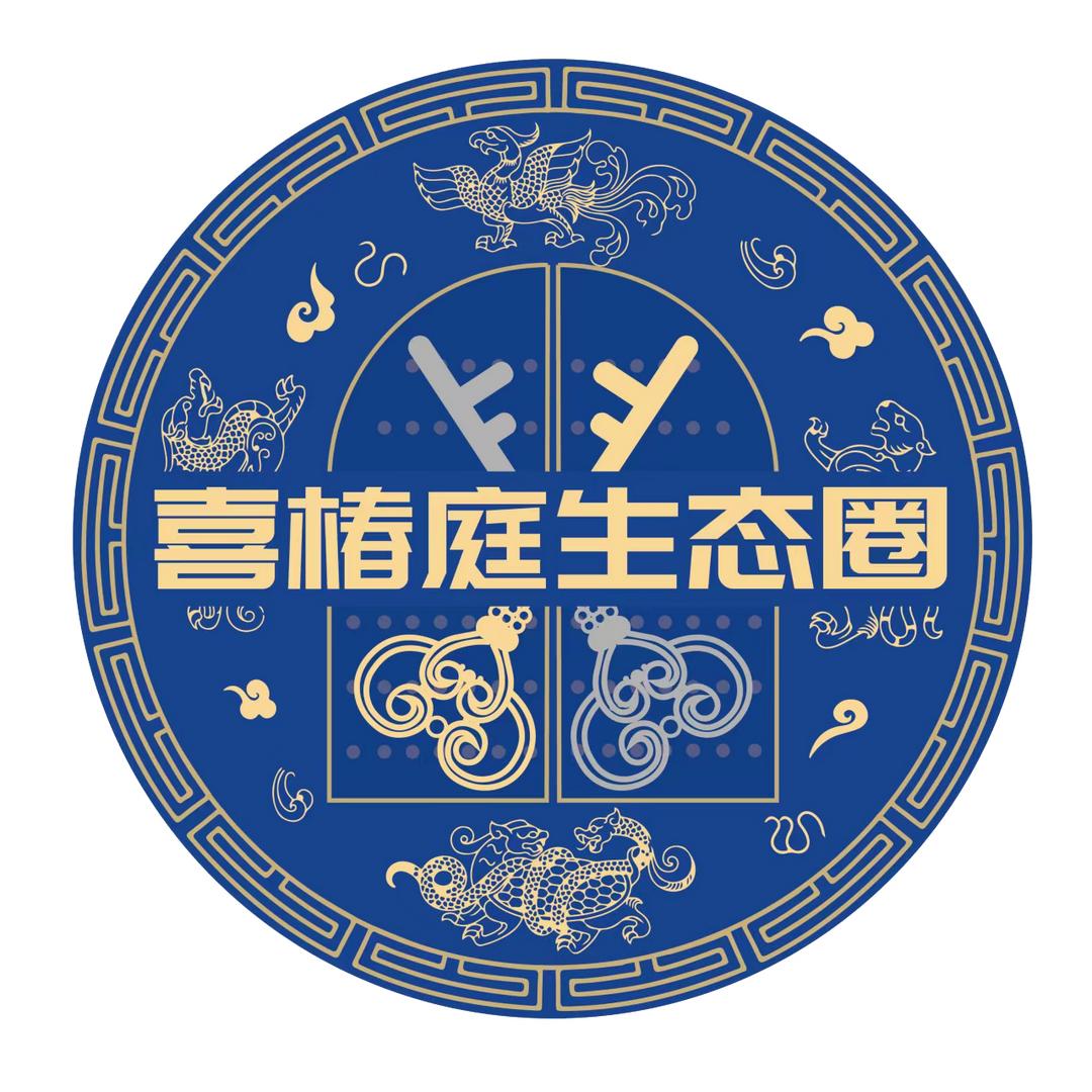 我的团长我的团