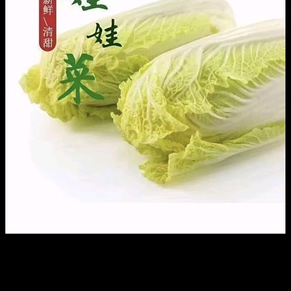 固安丰溢果蔬专业种植合作社