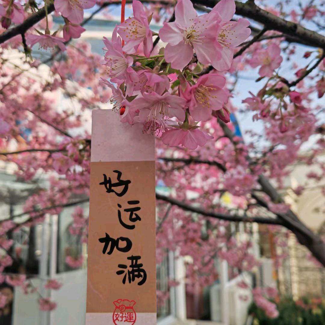 尹欢