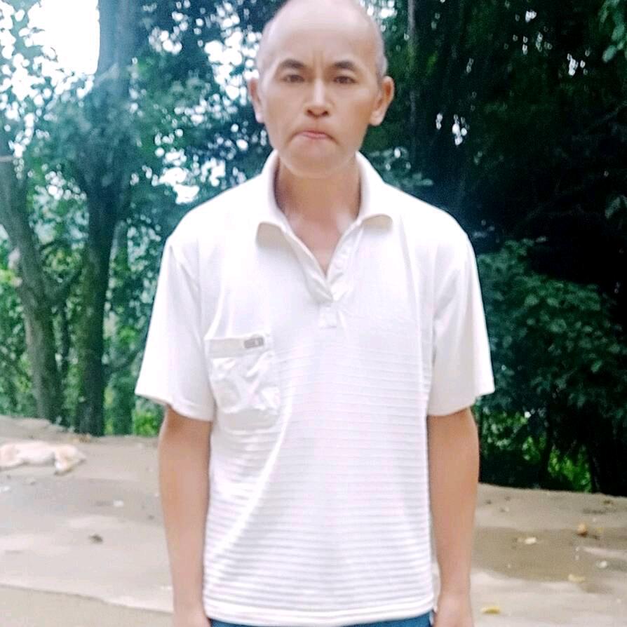 一支梅