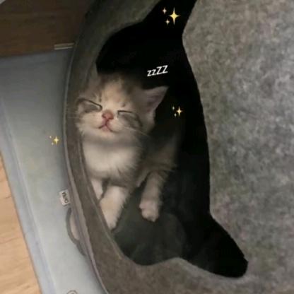 ﹉
