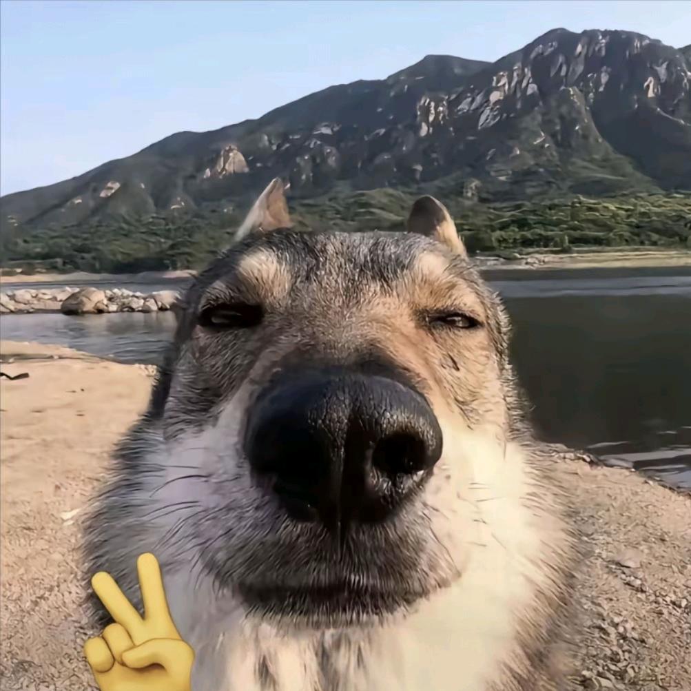 錒柒镉名字帧肺津