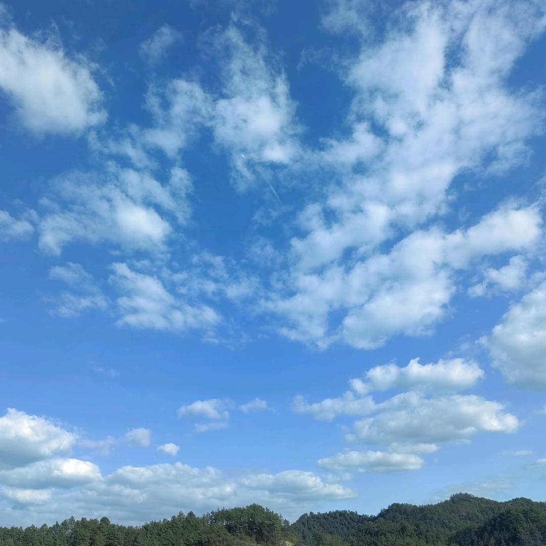 人间清醒～君（丧偶负债）