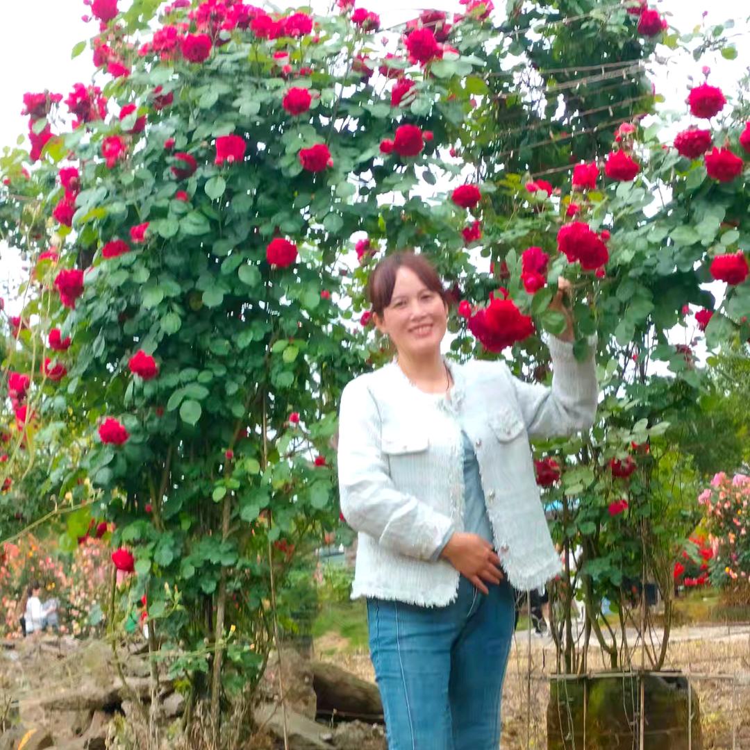 岁月🌹静好🌹