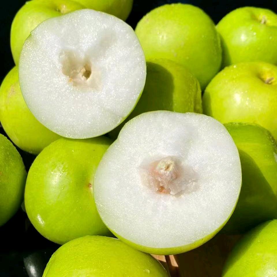 一口就爱上的酸甜