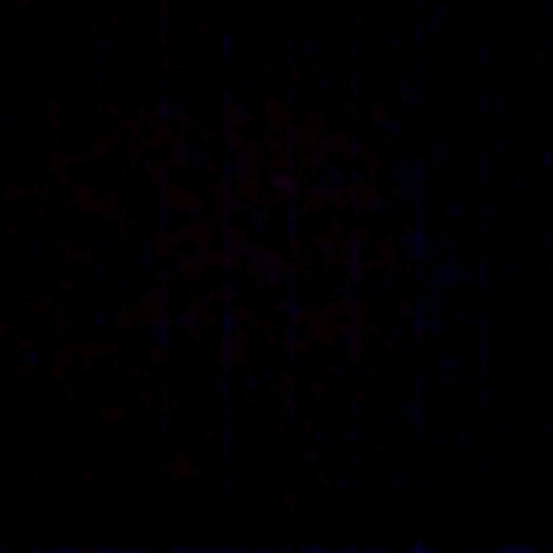 王者漂流记