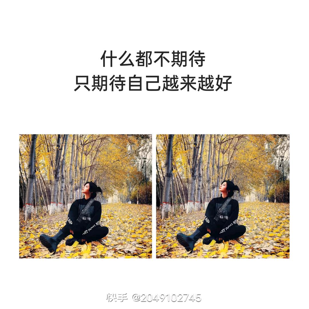 龙宝✨️