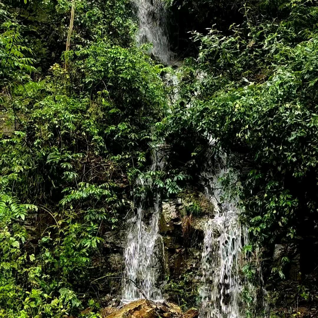 望乡台上望一望，望见儿女哭哀哀