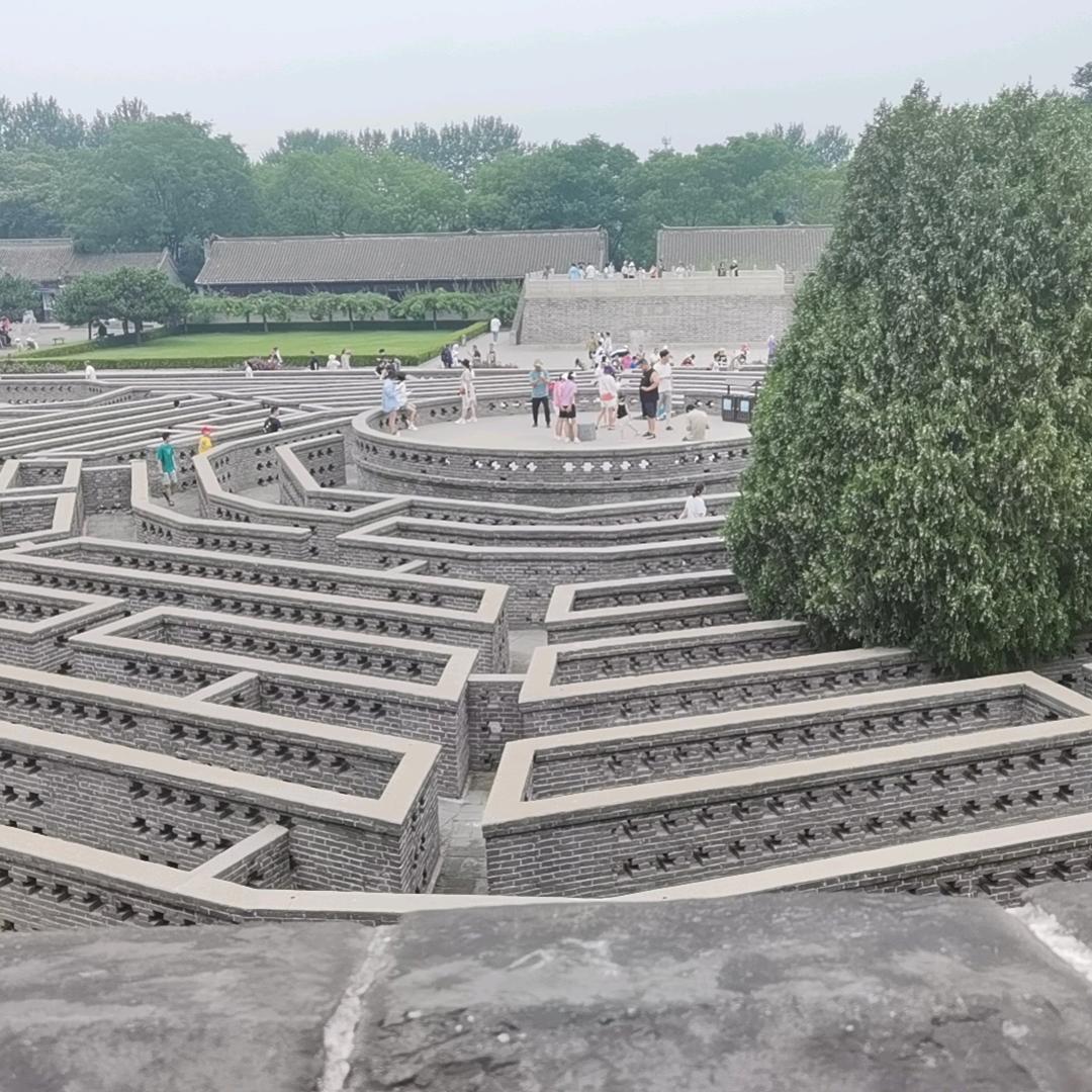 红豆