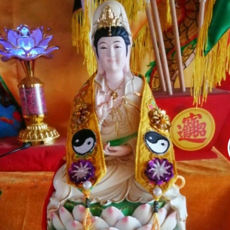 清妙！领堂师！