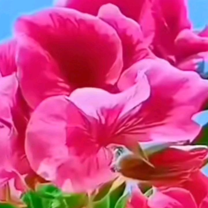 用户8987677230307